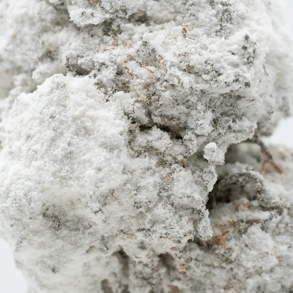 Icecapz Award Winning Mega Blackcherry 2