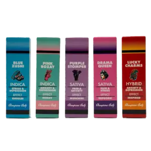 Premium Disposable 2 Gram