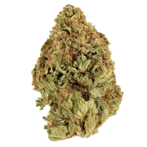 Champ OG - Award Winning- Indica