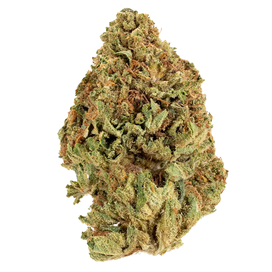 Champ OG - Award Winning- Indica