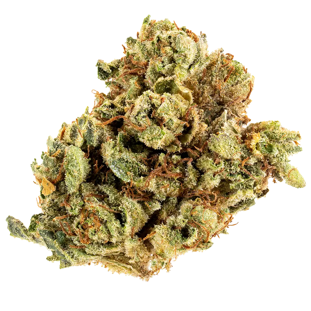 Champ OG - Award Winning- Indica - Image 2