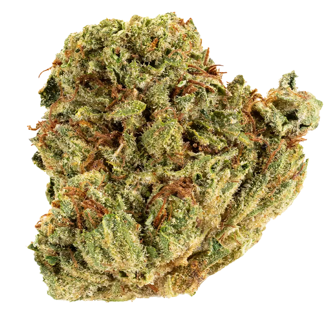 Champ OG - Award Winning- Indica - Image 3