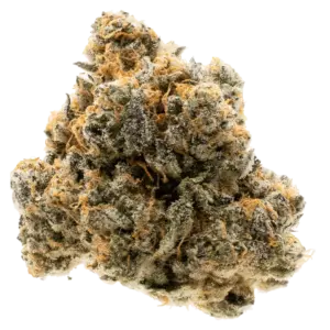 Lemon Cherry Gelato- Hybrid