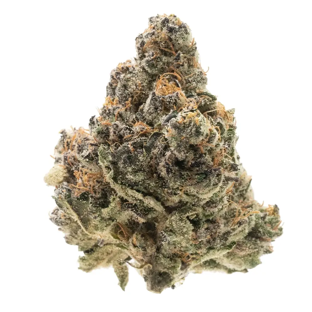 Icecapz Award Winning Mega Blackcherry - Indica - Image 7