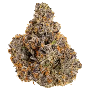 Knockout Champ - Award Winning- Hybrid 1/8